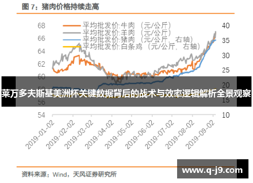 莱万多夫斯基美洲杯关键数据背后的战术与效率逻辑解析全景观察 莱万多夫斯基美洲杯关键数据背后的战术与效率逻辑解析全景观察